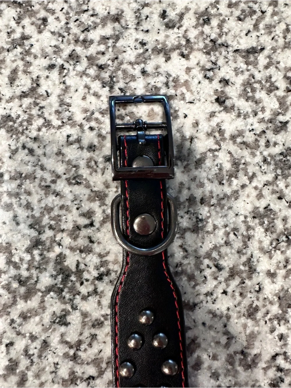 Black Studded DOG Collar Red Stitching